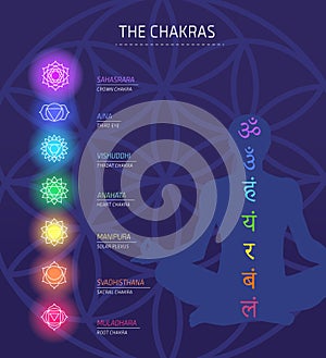 Chakras energy lotus pose human vector set