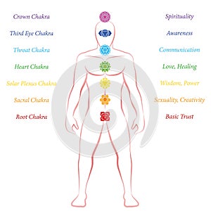 Chakras Meanings Man Standing Upright Frontal photo