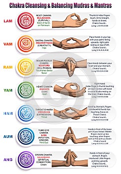 Chakras Mudras & Mantras