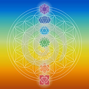 Chakras over flower of life symbol. Symbols for spa, meditation and yoga. Mystical and esoteric icons