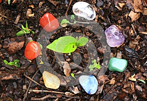 Chakras Stones to Heal stands on the earth to renovate energies