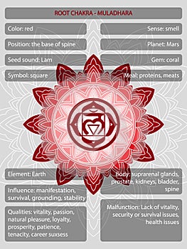 Chakras symbols with description of meanings infographic