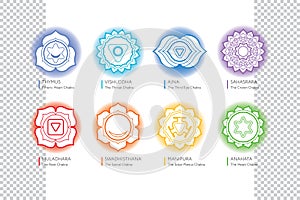 Chakras system of human body