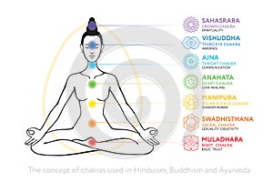 Chakras system of human body - used in Hinduism, Buddhism and Ayurveda.