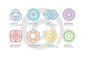 Chakras system of human body - used in Hinduism, Buddhism, yoga and Ayurveda.