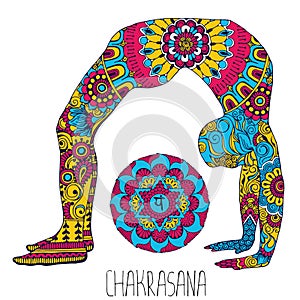 Chakrasana. Pose in yoga.