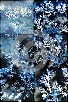 Chalcedony with Crystals Dendrite photo