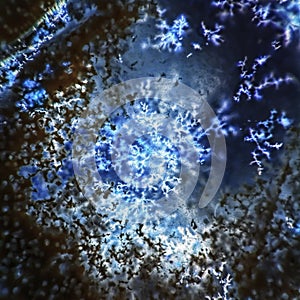 Chalcedony with Crystals Dendrite photo