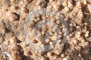 Chalcedony - mineral pattern