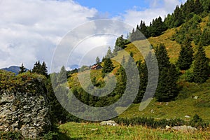 Chalet de l`are, alpine meadow on flank of Mont Blanc