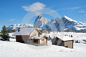 Chalets on the Alpe di Siusi photo