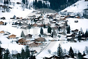 Chalets in the Snow