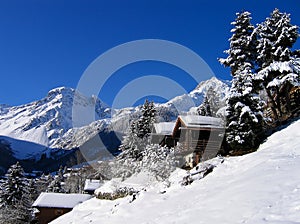 Chalets in a snow white valley photo