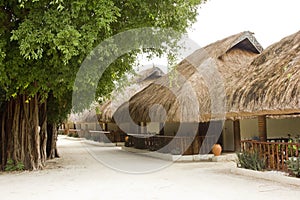 Chalets with thatched roofs photo