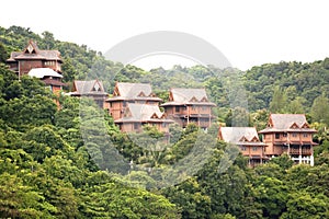Chalets in the Tropical Rainforest photo