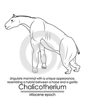 Chalicotherium, Ungulate mammal with a unique appearance