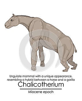 Chalicotherium photo