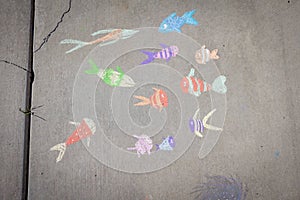 Chalk Art of  Fish on sidewalk