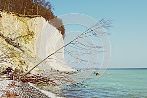 Chalk cliff rocks of Rugen isle at Sassnitz (Germany)