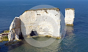 Chalk cliffs Old Harry Rocks Isle of Purbeck in Dorset south England UK