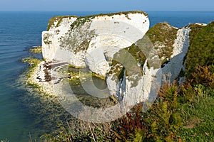 Chalk cliffs Old Harry Rocks Isle of Purbeck in Dorset south England UK