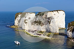 Chalk cliffs Old Harry Rocks Studland coast in Dorset south England UK