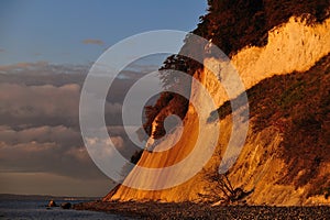 Chalk cliffs (Ruegen, Germany)