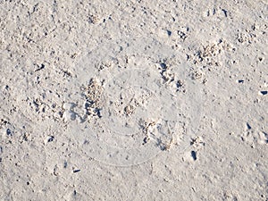Chalk Dirt Road Texture Background