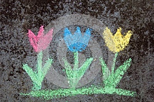 Chalk drawing on asphalt: colorful tulips