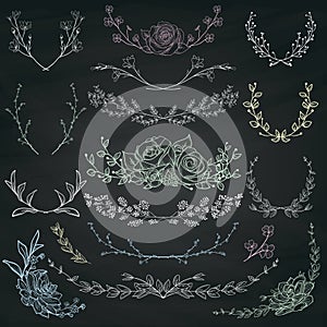 Chalk Drawing Herbs, Plants and Flowers. Vector Illustration