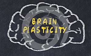 Chalk drawing of human brain with inscription brain plasticity
