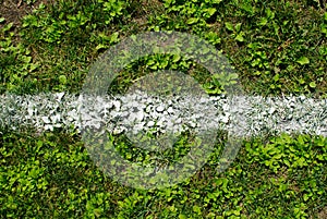 Chalk line marking on grass