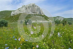 Chalk rocks and blossom meadow