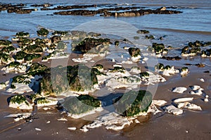 Chalk rocks exposed at low tide in Botany Bay near Broadstairs in Kent