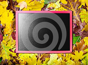 Chalkboard on fall autumn leaves background