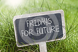 Chalkboard with fridays for future photo