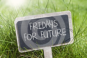 Chalkboard in the grass with claim fridays for future photo