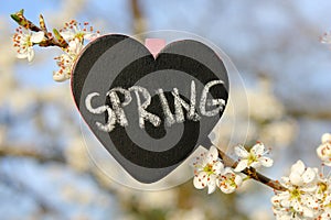 Chalkboard heart spring flower