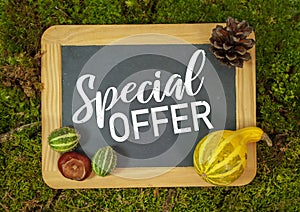 Chalkboard with pumpkins and chestnut and special offer on moss background