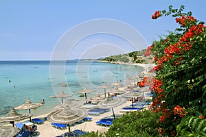 Chalkidiki beach with bughenvilla plant