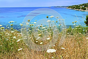 Chalkidiki landscape