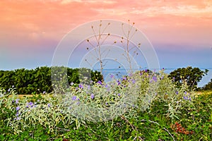 Chalkidiki peninsula coast at sunrise Aegean Sea North Greece