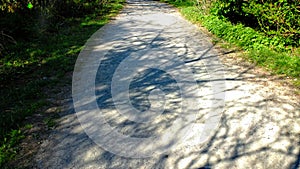 Chalky path to the trees and hills