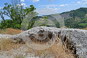 Chalky rock in the karst park near Bologna
