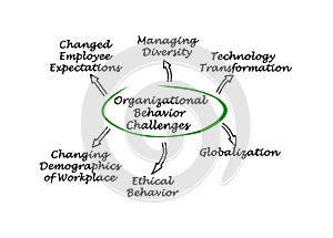 Challenges for Organizational Behavior