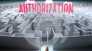 A challenging and complicated path to find and obtain Authorization