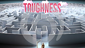 A challenging and complicated path to find and obtain Toughness