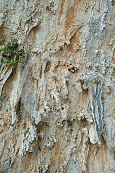 Challenging overhanging climbing route on tufa rocks