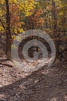 A challenging section of track for a jeep to traverse