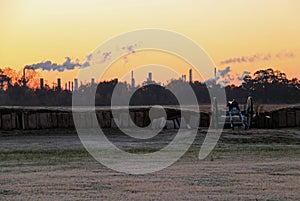 Chalmette Battlefield in New Orleans